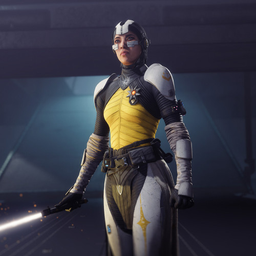 Destiny 2: Renegades