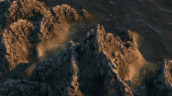 Anno 2070, Steam Gift