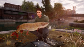 Fishing Sim World®: Pro Tour, Steam Gift