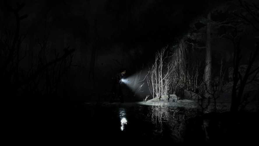 Silver Pines - Deluxe Edition, Steam Gift
