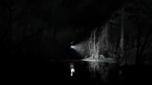 Silver Pines - Deluxe Edition, Steam Gift