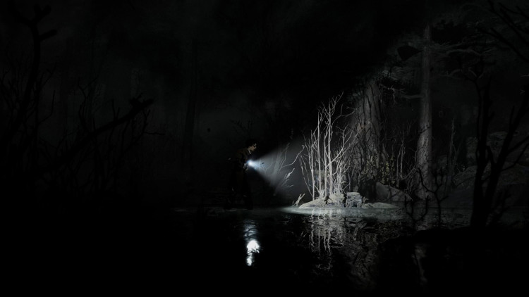 Silver Pines - Deluxe Edition, Steam Gift