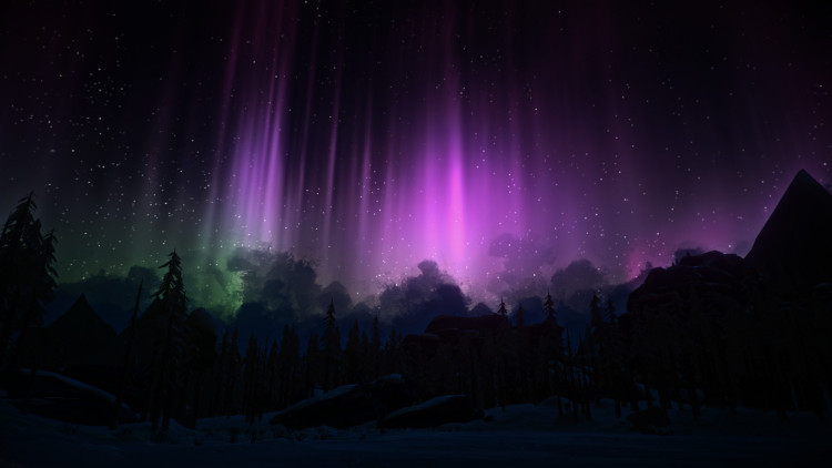 The Long Dark, Steam Gift