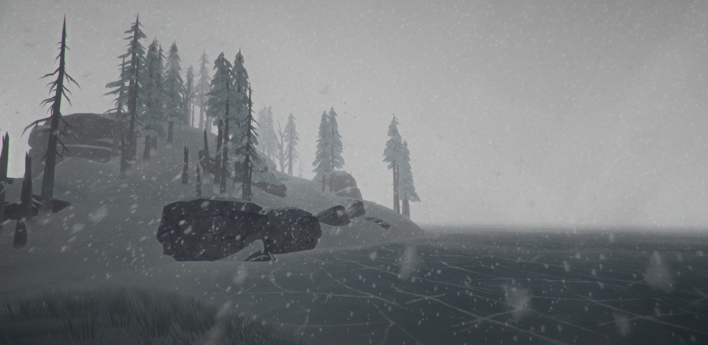 The Long Dark, Steam Gift
