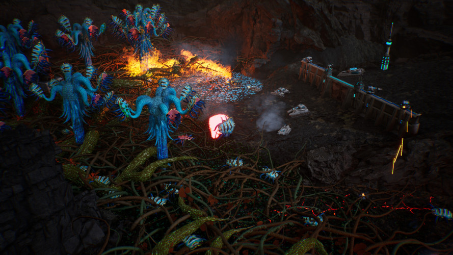 Calyx, Steam Gift