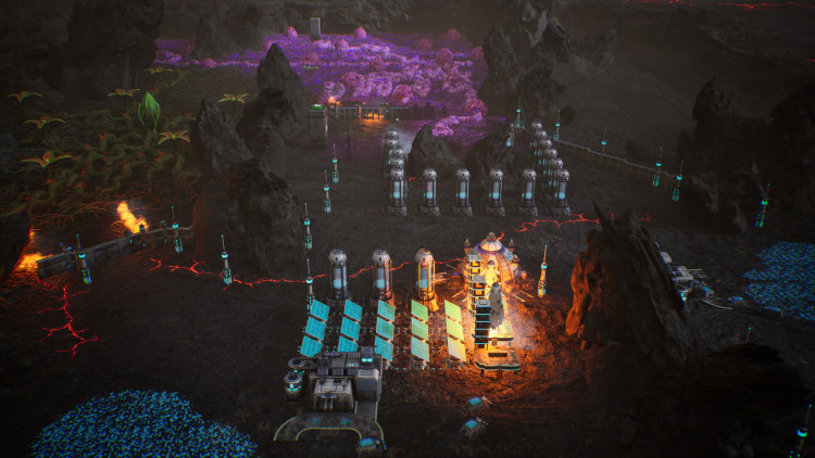 Calyx, Steam Gift