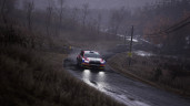 Assetto Corsa Rally, Steam Gift