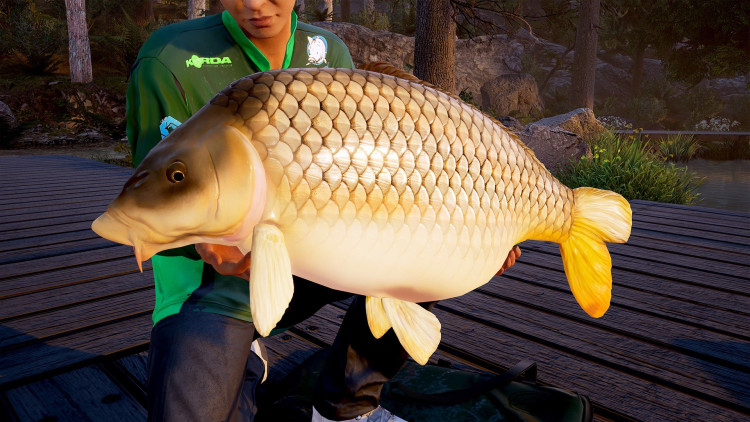 Fishing Sim World®: Pro Tour - Deluxe Edition, Steam Gift