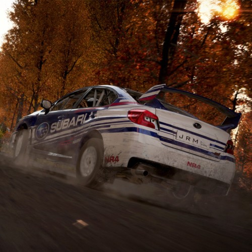 Игра DIRT 4 для PC / ПК, активация в стим Steam для региона РФ / Россия цифровой ключ
