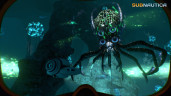Subnautica, Steam Gift
