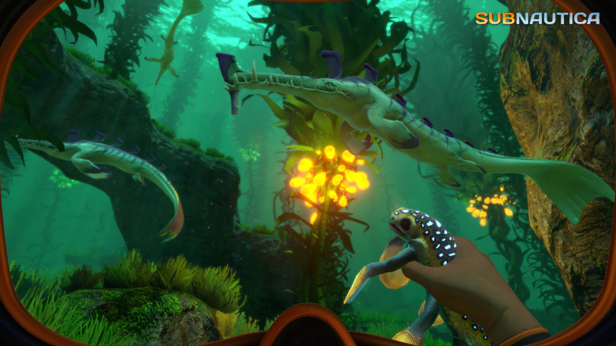 Subnautica, Steam Gift