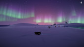 Penguin Helper, Steam Gift