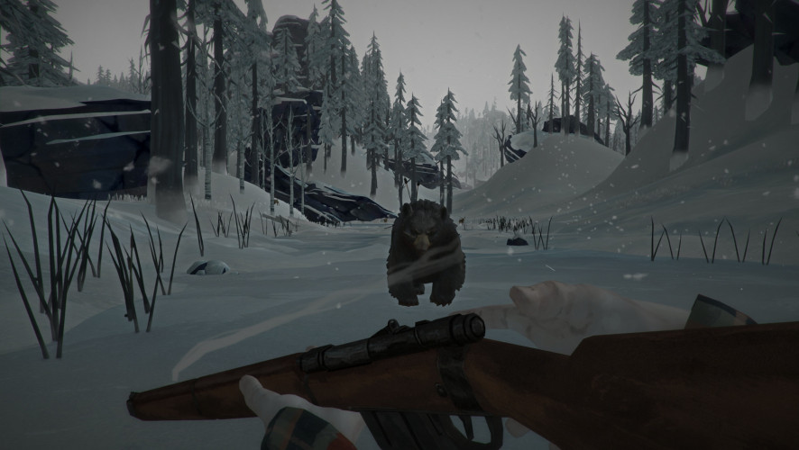 The Long Dark - Survival Mode, Steam Gift