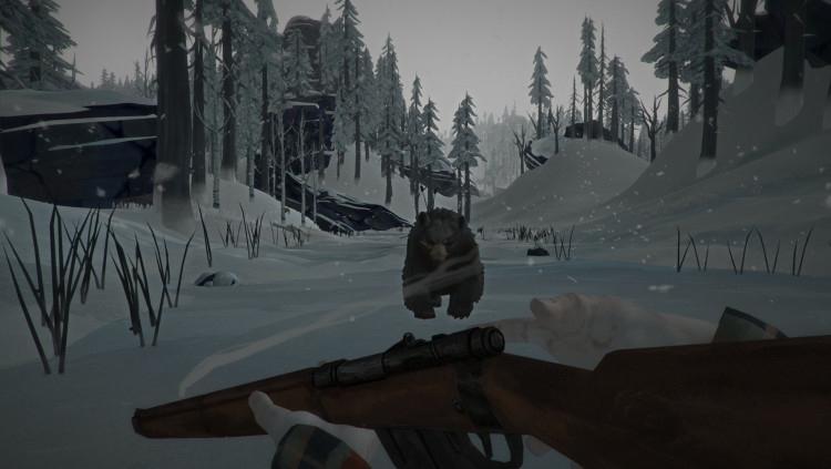 The Long Dark - Survival Mode, Steam Gift