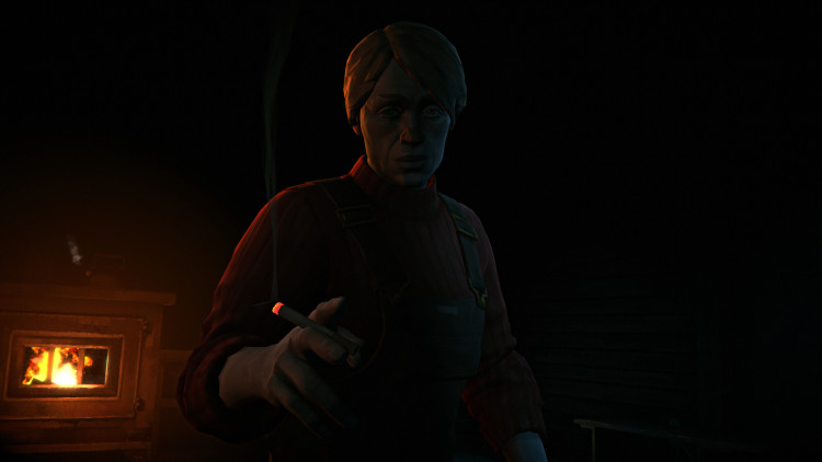 The Long Dark - Survival Mode, Steam Gift