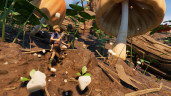 Grounded, Steam Gift