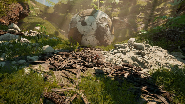 Empire of the Ants, Steam Gift