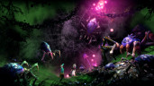 Trine 2: Complete Story 3 - Pack, Steam Gift