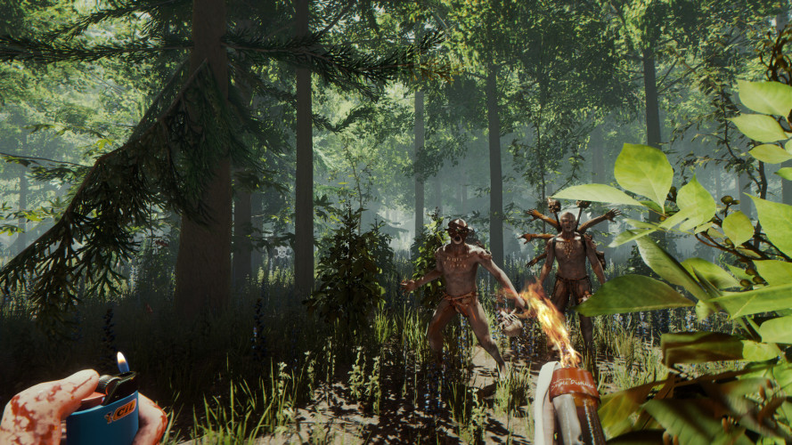 The Forest, Steam Gift
