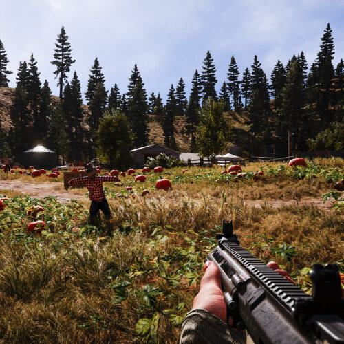 Far Cry 5