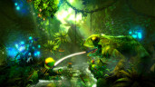 Trine 2: Complete Story Upgrade, Steam Gift