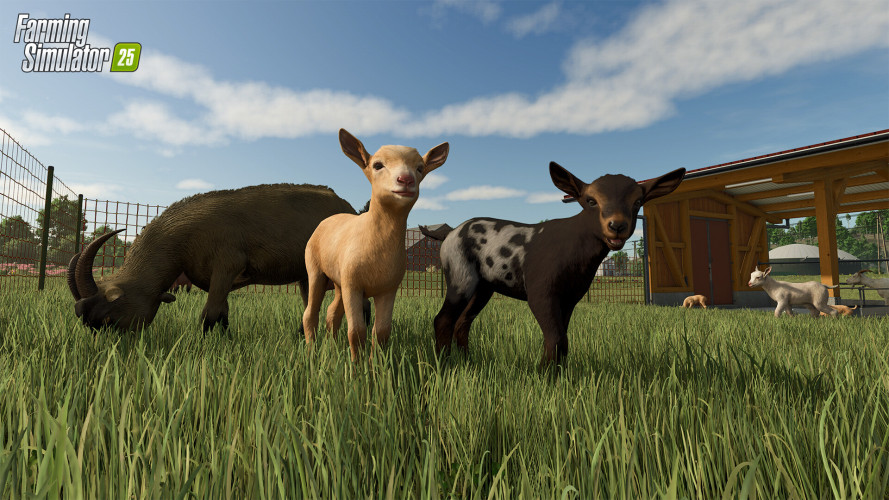 Farming Simulator 25, Steam Gift