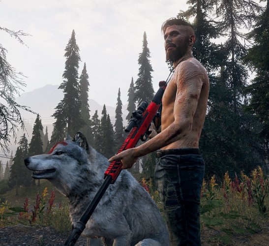 Far Cry 5 Season Pass DLC ( Дополнение)
