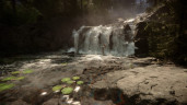 Sons Of The Forest, Steam Gift