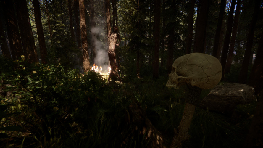 Sons Of The Forest, Steam Gift