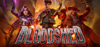 Bloodshed, Steam Gift