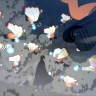 Игра NARUTO X BORUTO Ultimate Ninja STORM CONNECTIONS Standart Edition Steam