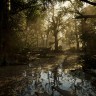 Игра Chernobylite Enhanced Edition для PC / ПК, активация в стим Steam для региона РФ / Россия цифровой ключ