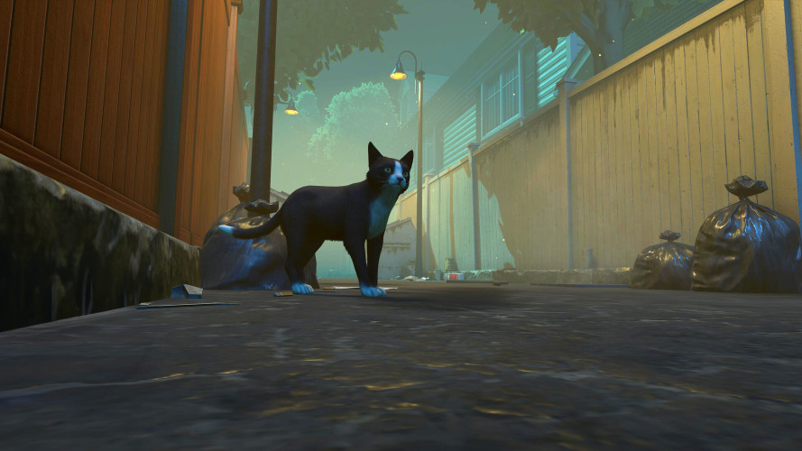 Copycat, Steam Gift