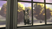 Copycat, Steam Gift