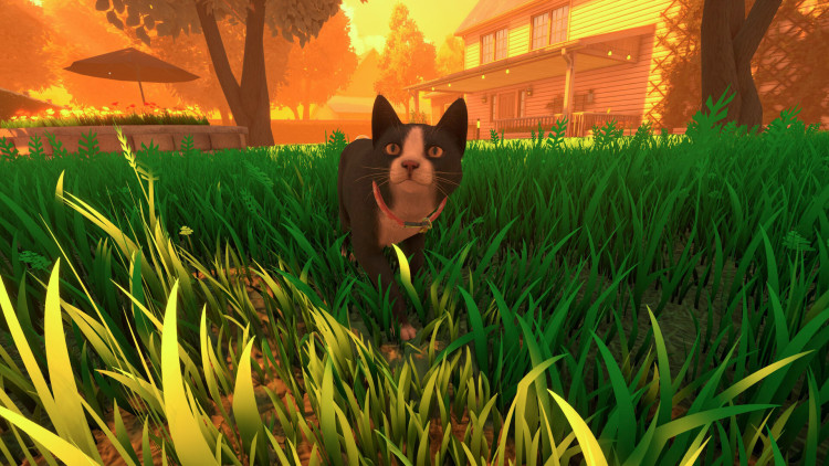 Copycat, Steam Gift