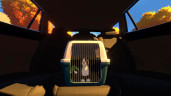 Copycat, Steam Gift
