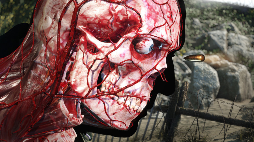 Sniper Elite 5, Steam Gift