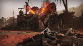 Fallout 76, Steam Gift