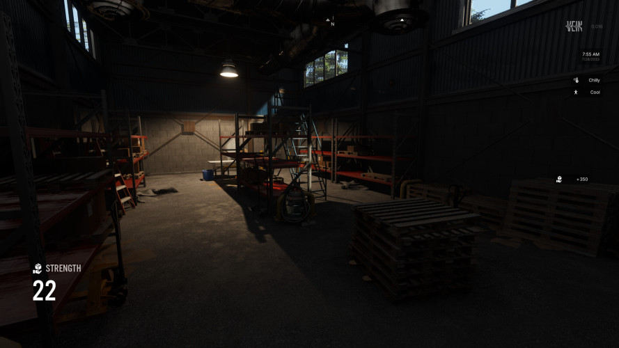 VEIN, Steam Gift