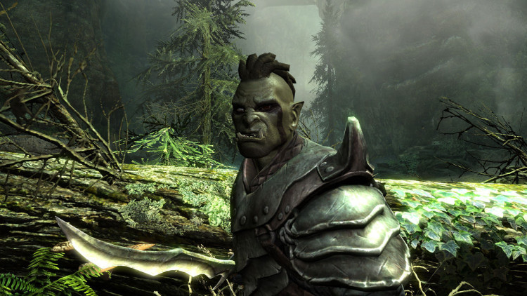 The Elder Scrolls V: Skyrim, Steam Gift
