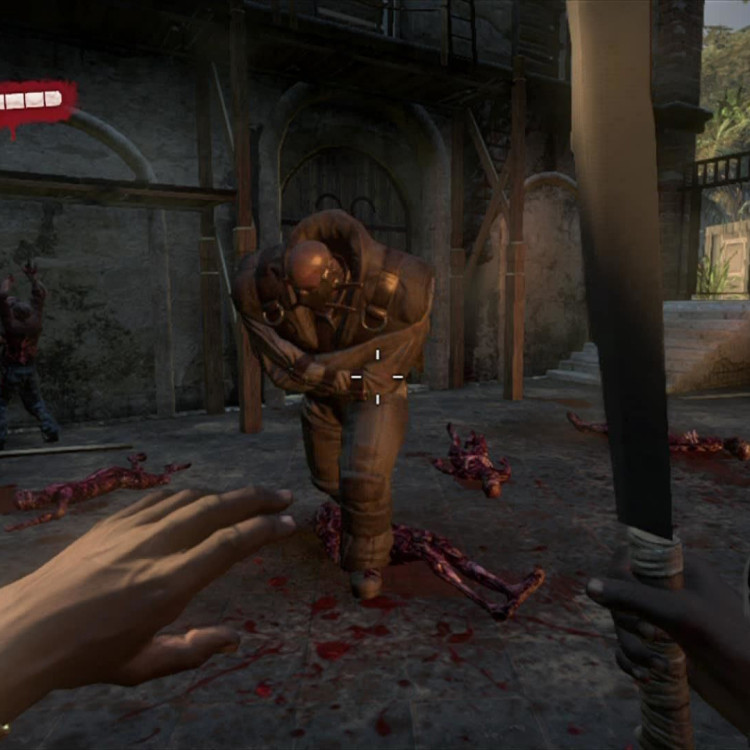 Dead Island Definitive Edition, Steam Gift