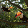 Planet Zoo 2 - Pre - Purchase, Steam Gift