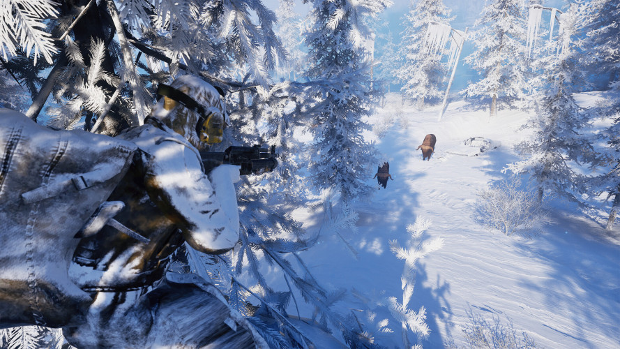 Permafrost, Steam Gift