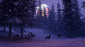 Permafrost, Steam Gift