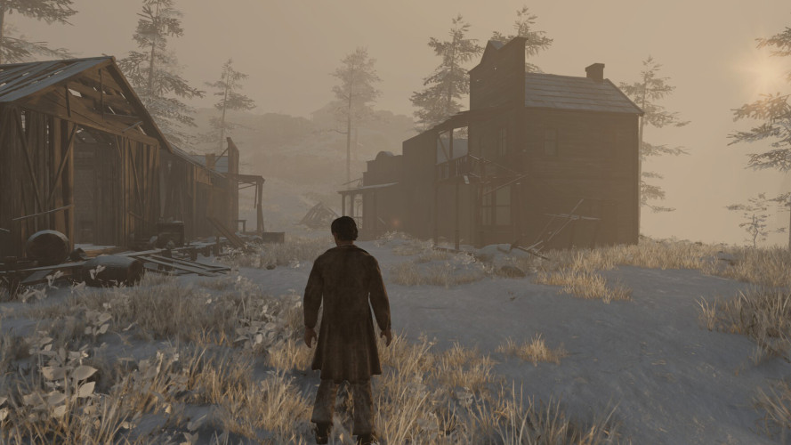 Wild West Dynasty, Steam Gift