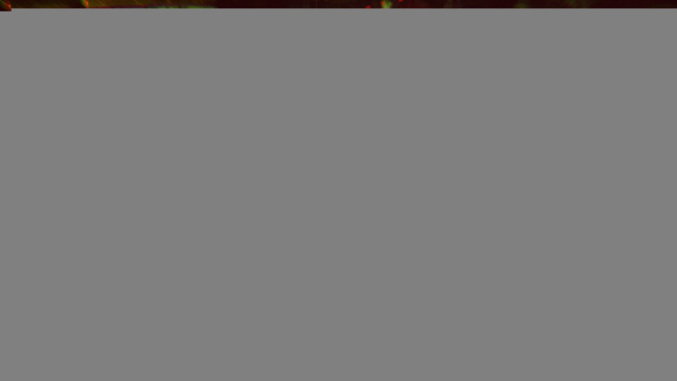 Warhammer 40,000: Chaos Gate - Daemonhunters, Steam Gift