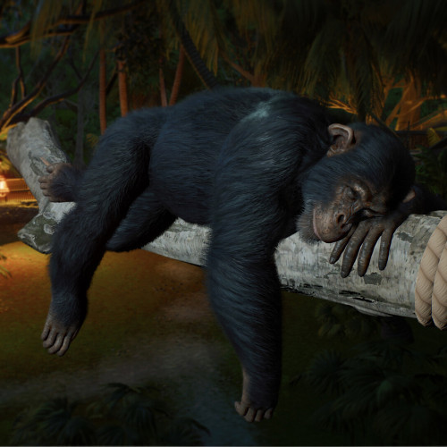 Planet Zoo 2 - Deluxe Edition - Pre - Purchase, Steam Gift