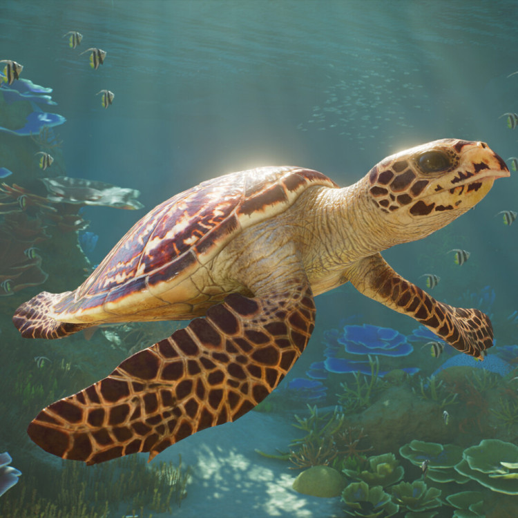 Planet Zoo 2 - Deluxe Edition - Pre - Purchase, Steam Gift