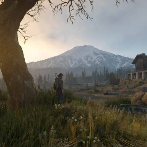 Игра Days Gone™ PlayStation 4 и PlayStation 5