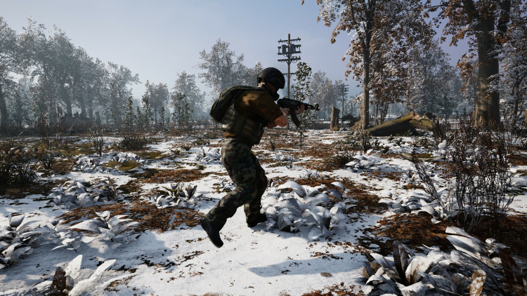Total Conflict: Resistance, Steam Gift
